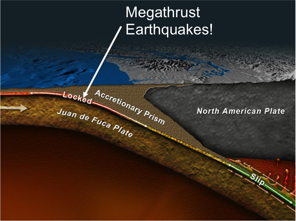 cascadia subduction zone