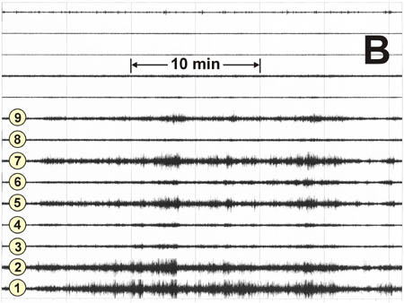 seismo_data